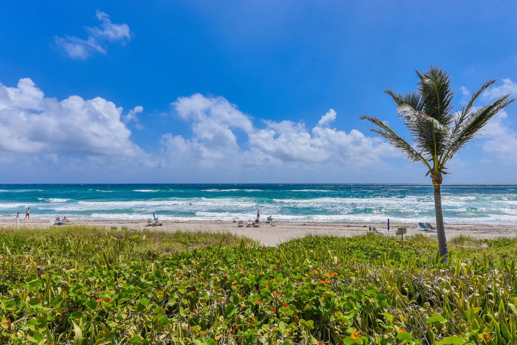 3310 S Ocean Boulevard, Boca Raton, Florida, United States. - Photo 35