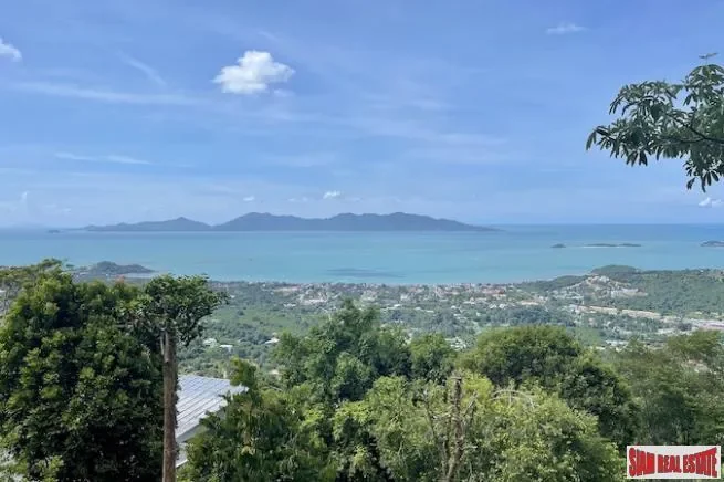 Surat Thani,, Surat Thani, Surat Thani, Thailand. - Photo 6