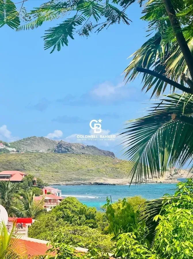 Vitet, Saint Barthélemy. - Photo 3