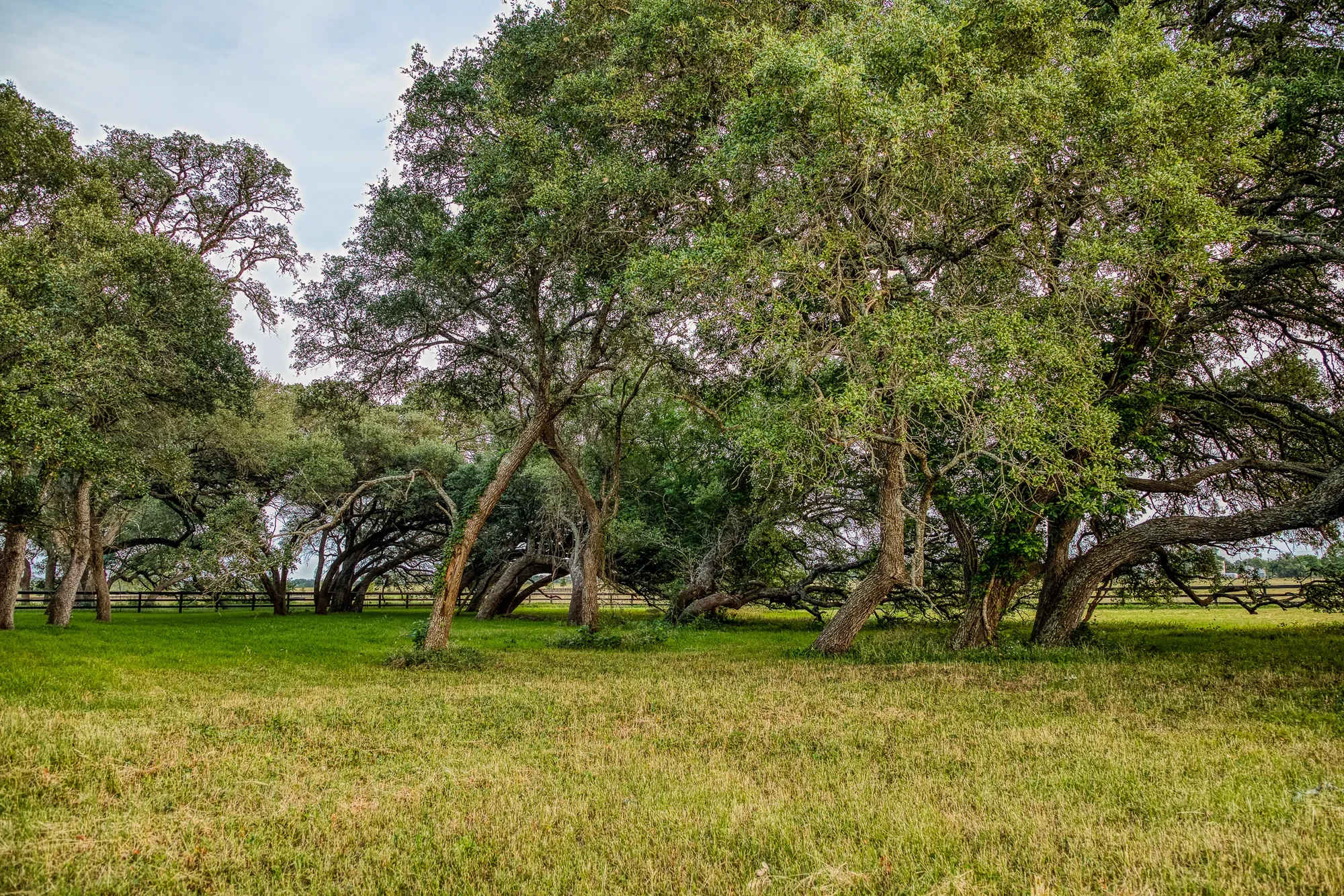 104 Hartfield Hill Ln , Round Top, TX 78954, Round Top, Texas, United States. - Photo 7