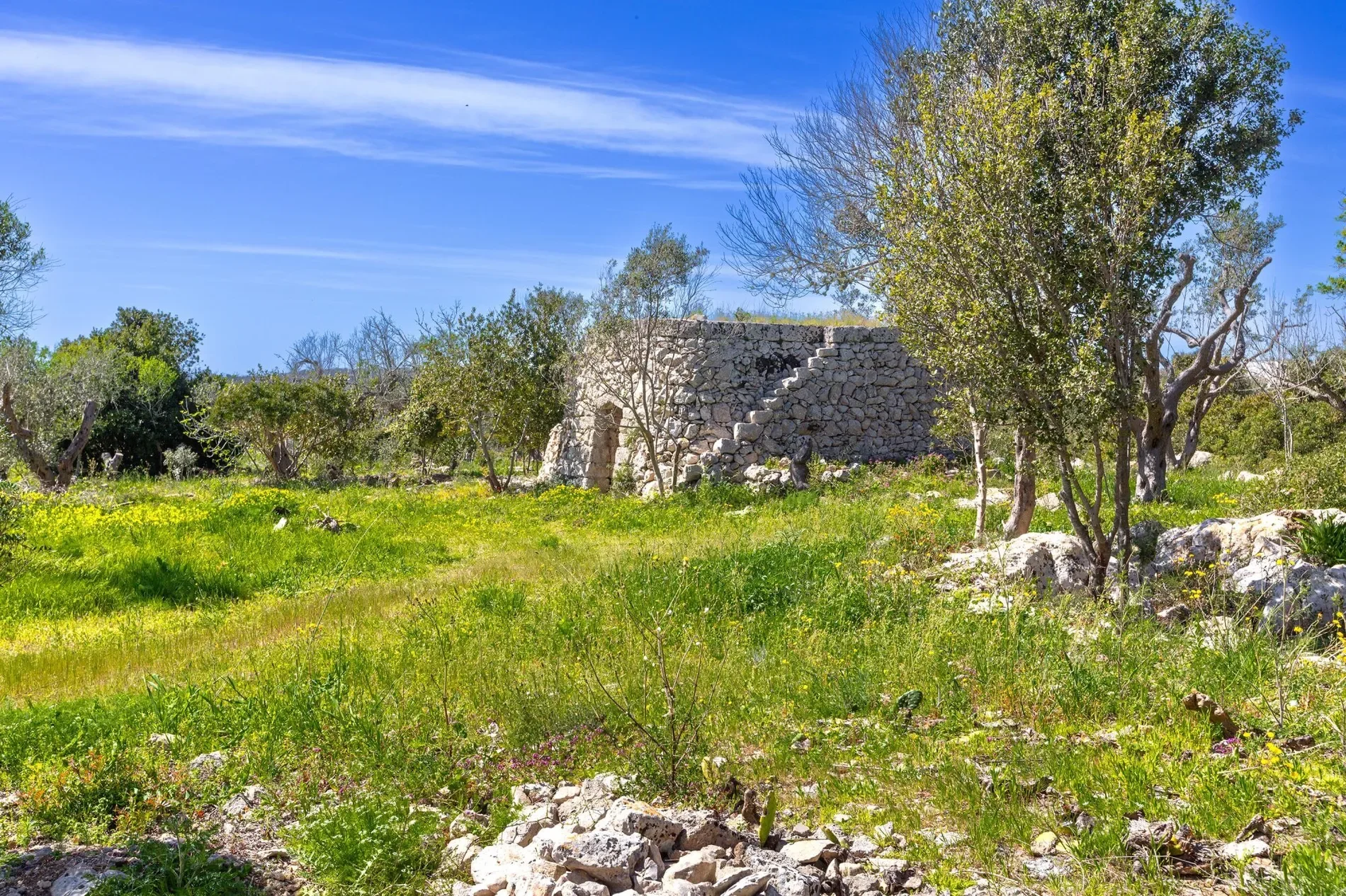 Exterior photo 9