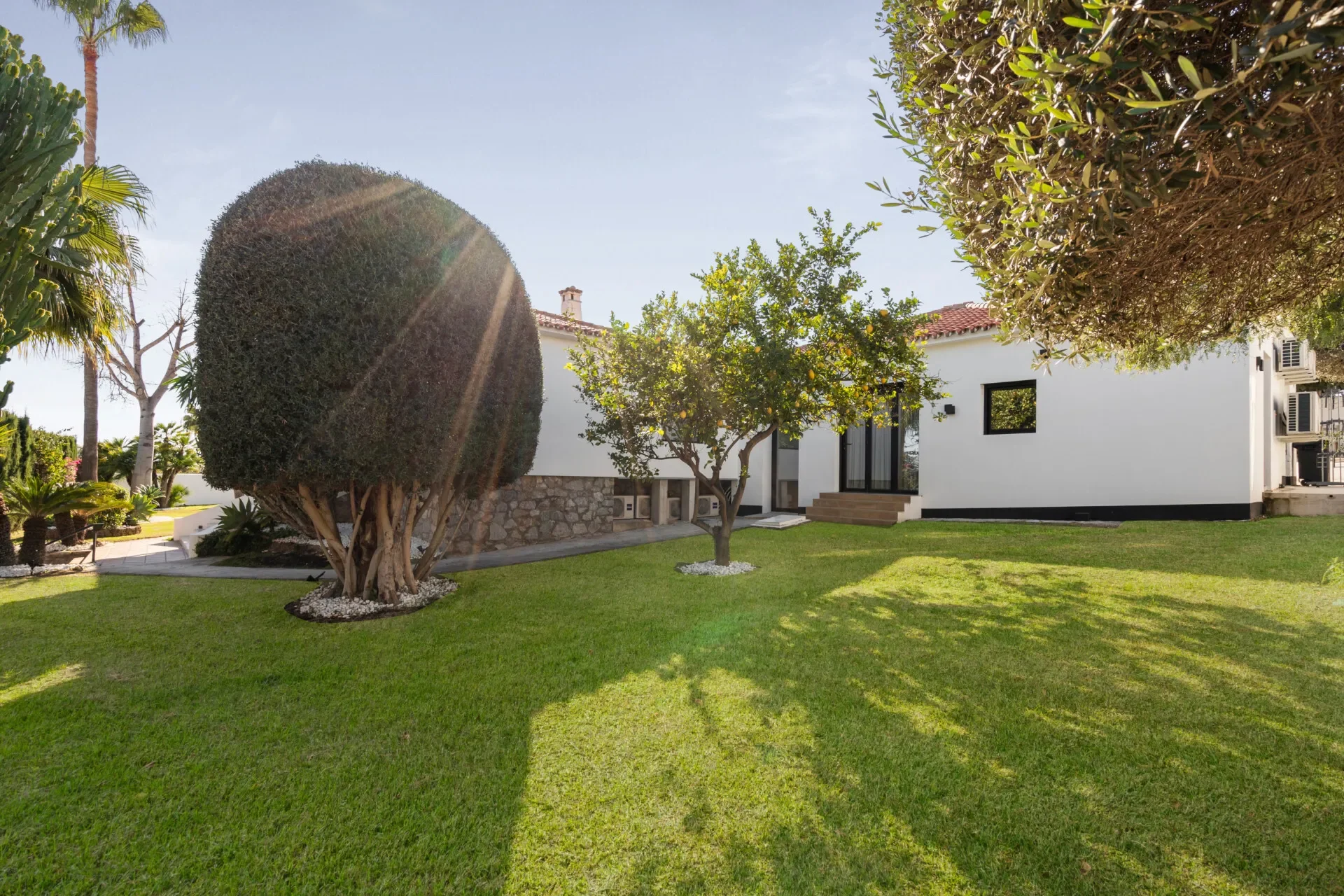 Gallery photo 3