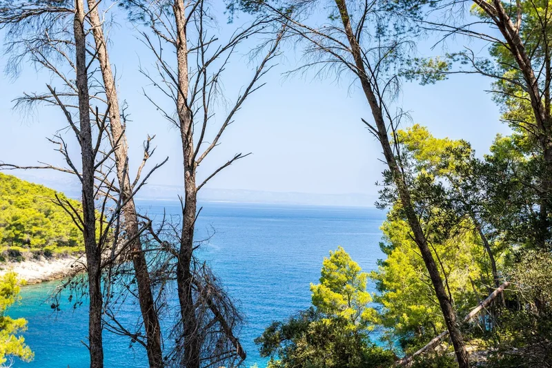 Vela Luka, Dubrovnik-Neretva, Vela Luka, Dubrovnik-Neretva County, Croatia. - Photo 14