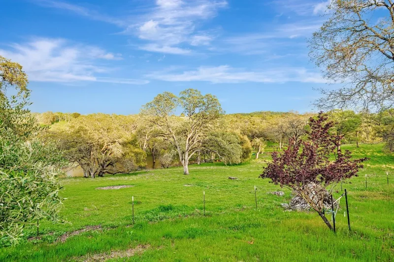 14651 Highway 124, Plymouth, CA 95669, Ione, California, United States. - Photo 35