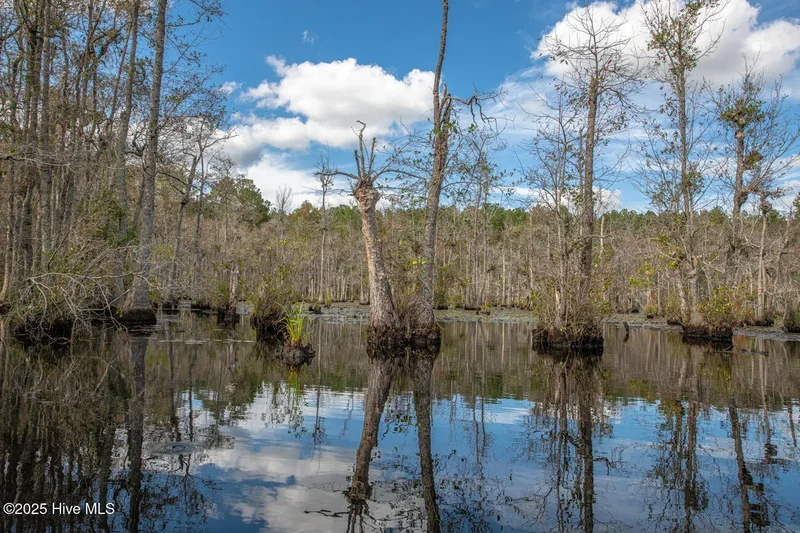 709 Everetts Mill Road, Rockingham, North Carolina, United States. - Photo 112