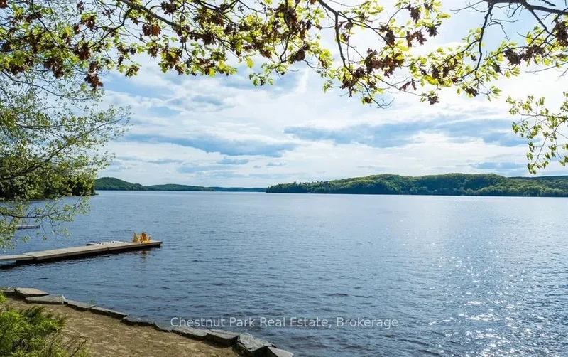 1091 Dwight Beach Road, Huntsville, Ontario, Canada. - Photo 47