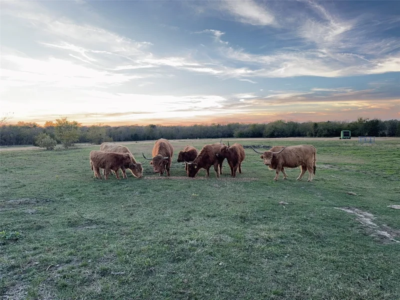 4081 FM 2736 #A, Campbell, TX 75422, Campbell, Texas, United States. - Photo 5