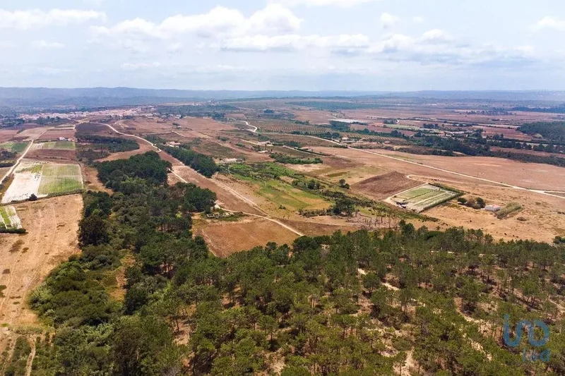 Rogil, Aljezur, Faro, Aljezur, Aljezur, Algarve, Portugal. - Photo 15