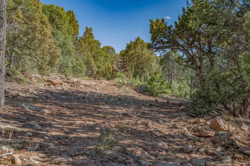 3270 Paseo Segunda, Santa Fe, NM 87501, Santa Fe, New Mexico, United States. - Photo 22