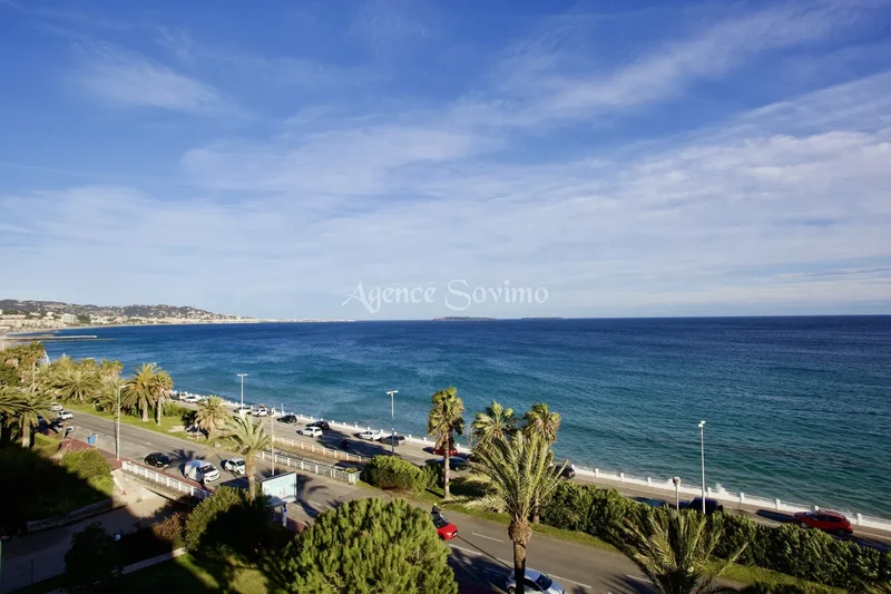 Cannes, Provence-Alpes-Côte d'Azur, France. - Photo 6