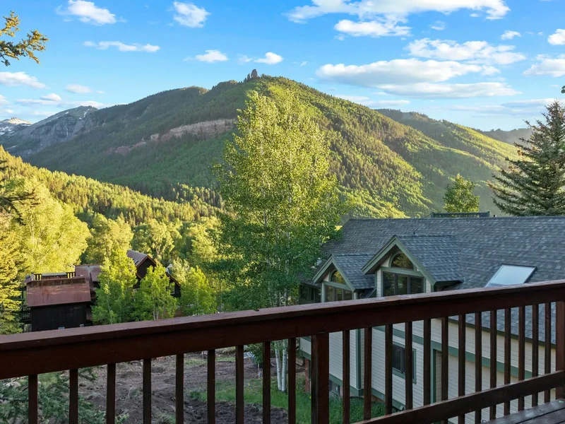 980 Primrose Alley , Telluride, CO 81435, Mountain Village, Colorado, United States. - Photo 8