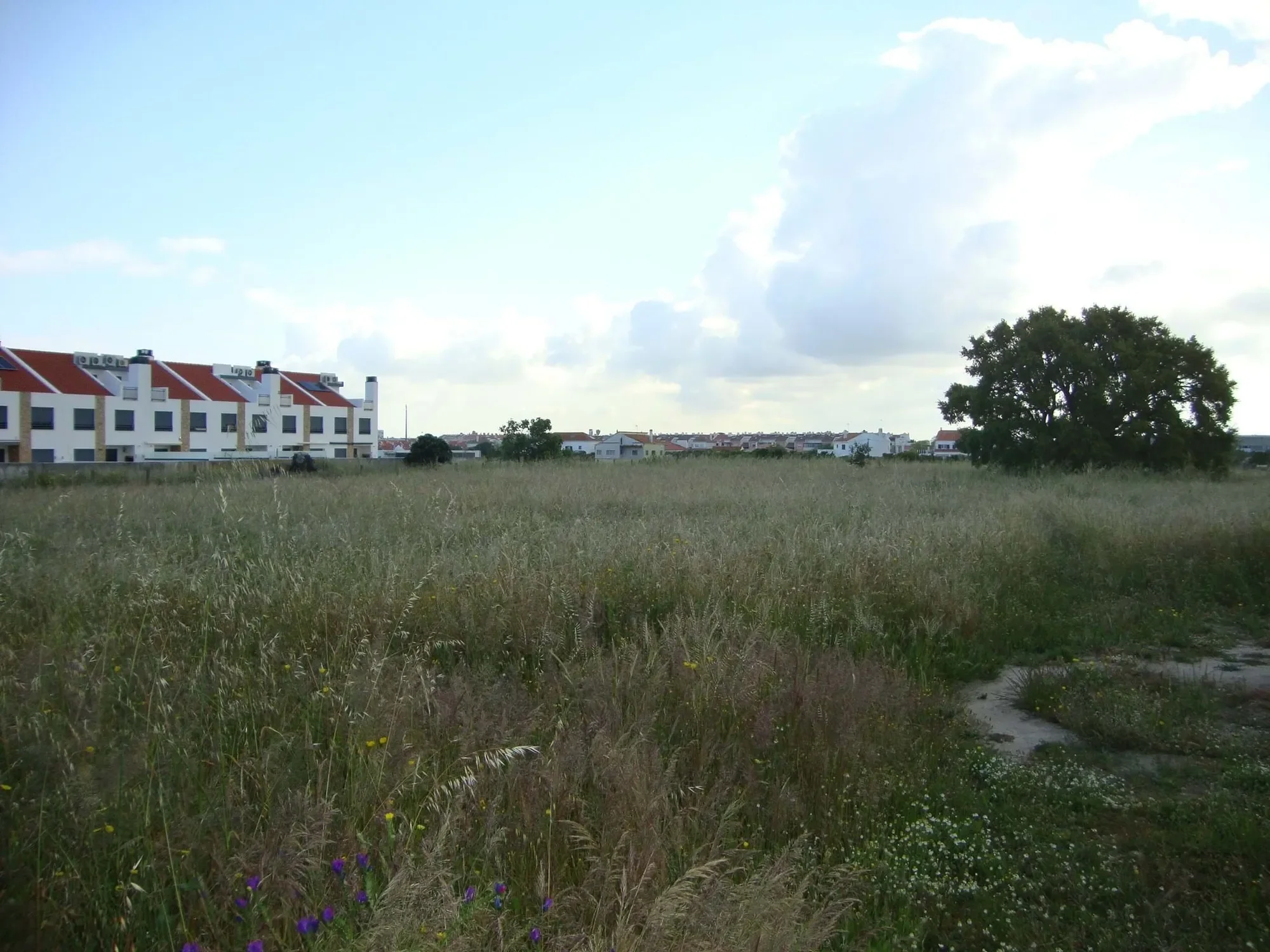Setúbal, Alcochete, Setubal, Portugal. - Photo 6