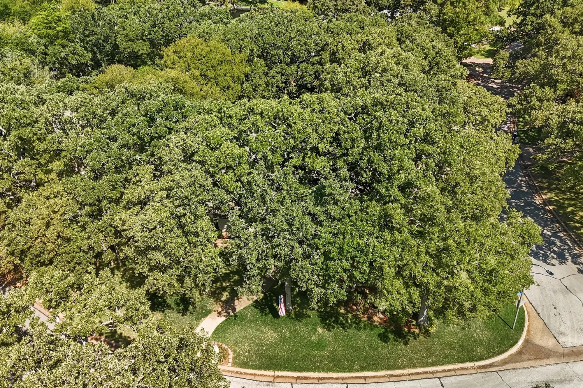 2419 Villa Vera Drive , Arlington, TX 76017, Arlington, Texas, United States. - Photo 37