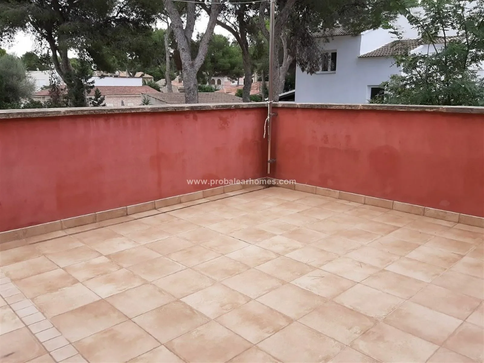 EL TORO, CALVIA, Baleares, CALVIA, Santa Ponsa, Balearic Islands, Spain. - Photo 11