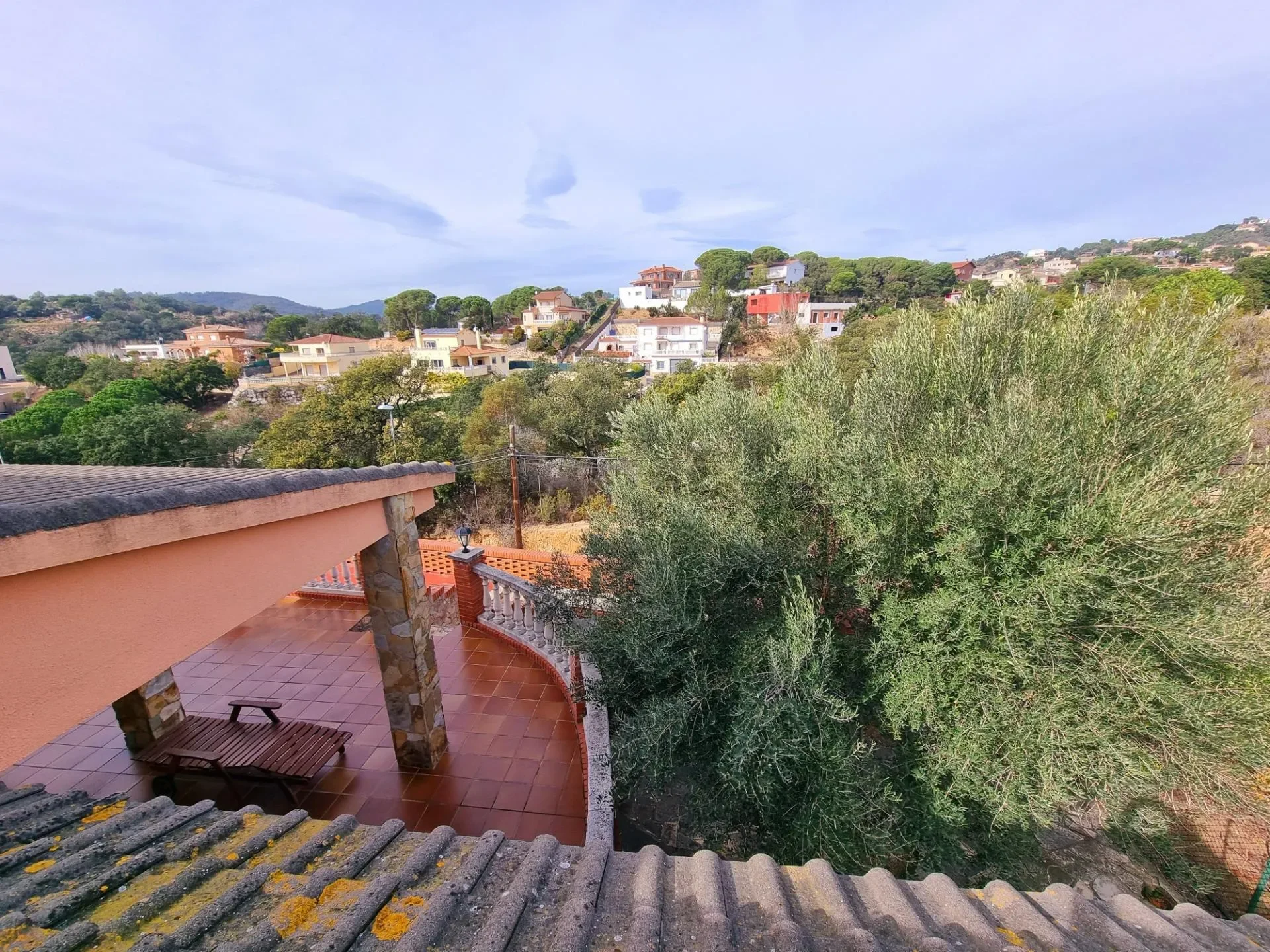 Los pinares, Lloret de Mar, GIRONA, Lloret de Mar, Lloret de Mar, Catalonia, Spain. - Photo 52