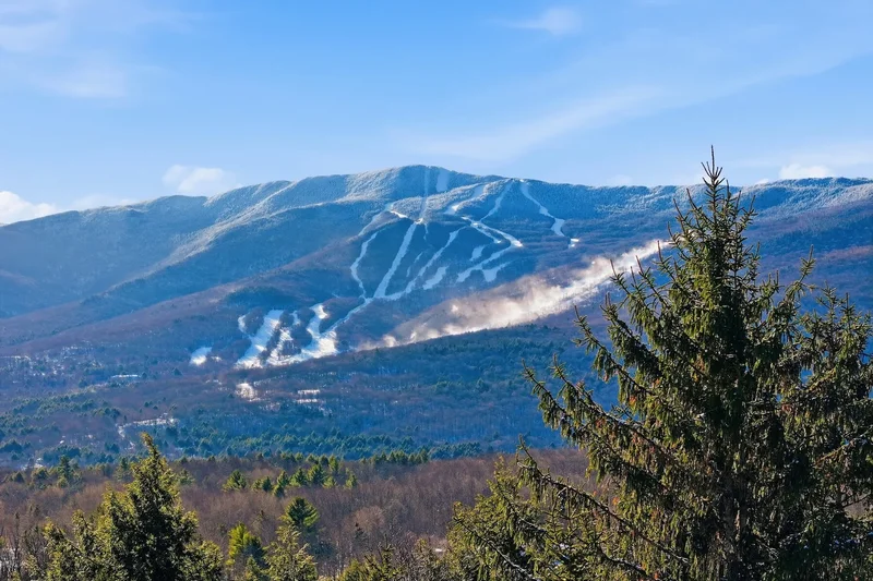 421 Stagecoach Road, Fayston, VT 05673, Fayston, Vermont, United States. - Photo 55