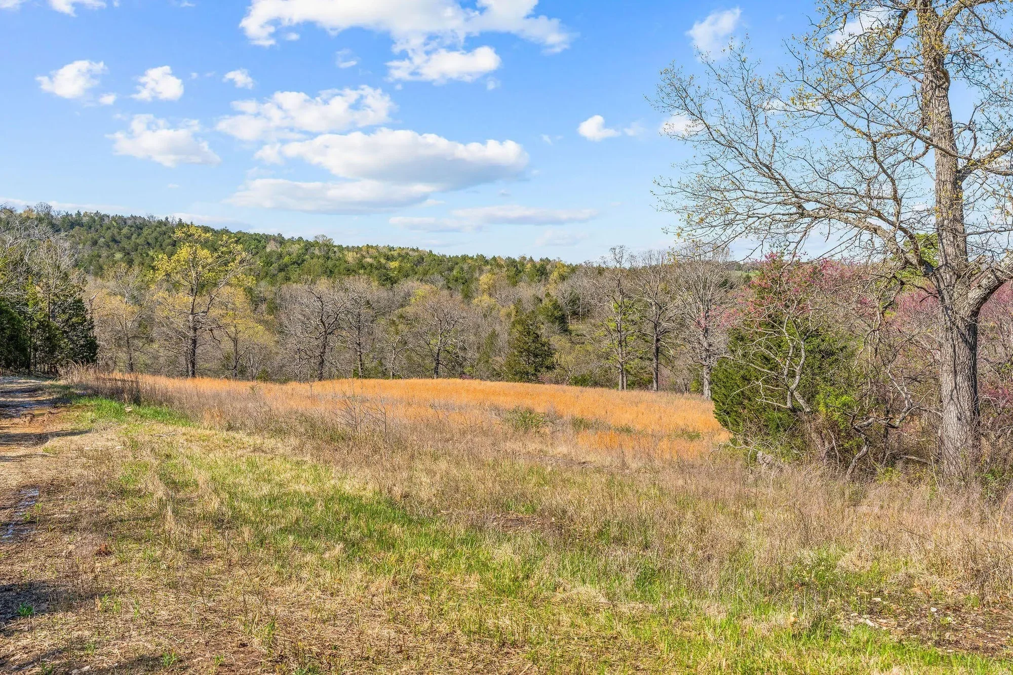 000 Tbd State Hwy J, Kirbyville, MO 65679, Kirbyville, Missouri, United States. - Photo 35
