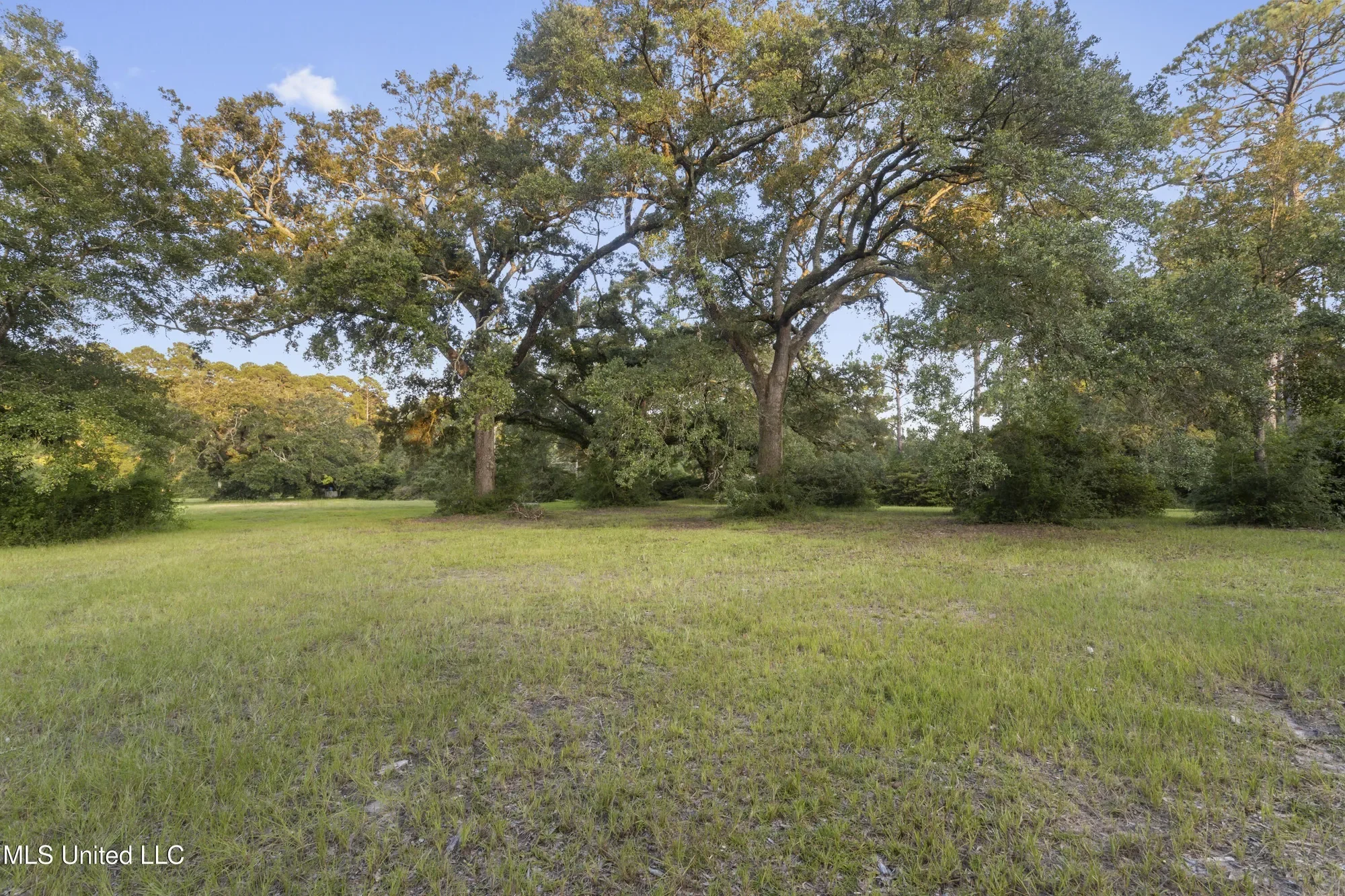 8.13 Acres Dixie Street, Ocean Springs, MS 39564, Ocean Springs, Mississippi, United States. - Photo 18