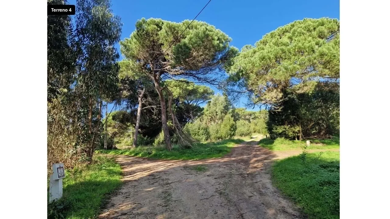 Praia das Maçãs, Lisboa, Colares, Lisbon, Portugal. - Photo 11