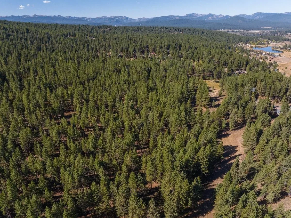 10797 Regency Circle, Truckee, California, United States. - Photo 8