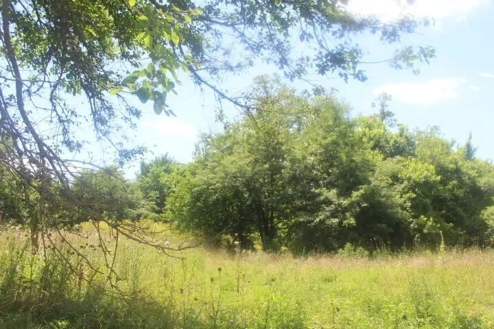 3176 S 170th Road, Polk, MO 65727, Bolivar, Missouri, United States. - Photo 69