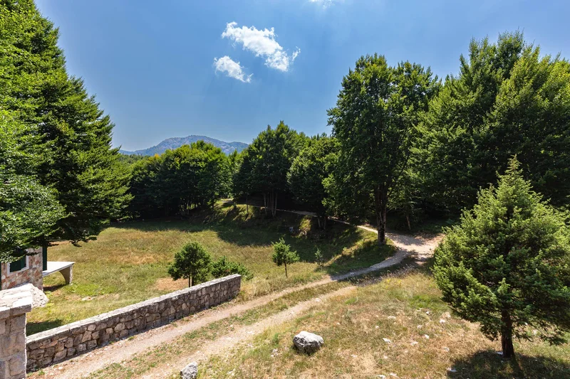 Lovćen, Montenegro, Cetinje, Cetinje Municipality, Montenegro. - Photo 15