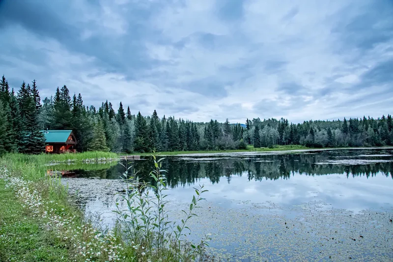 24573 Walcott Road, Telkwa, Telkwa, British Columbia, Canada. - Photo 21