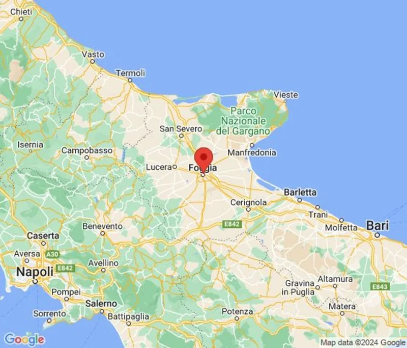 Viale Fortore, N. snc, Foggia, Apulia, Italy. - Photo 13
