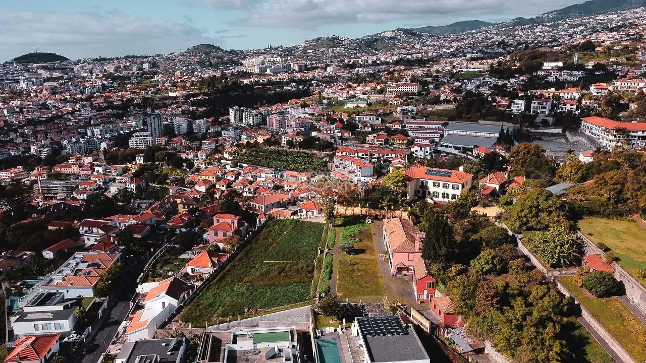 Funchal, Madeira, Funchal, Se, Madeira, Portugal. - Photo 12