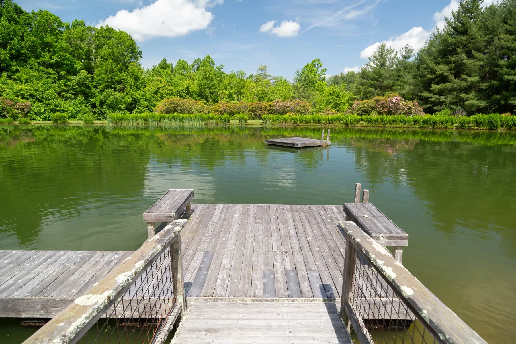 174 Sarvisberry Lane SW, Floyd, VA 24091, Floyd, Virginia, United States. - Photo 39