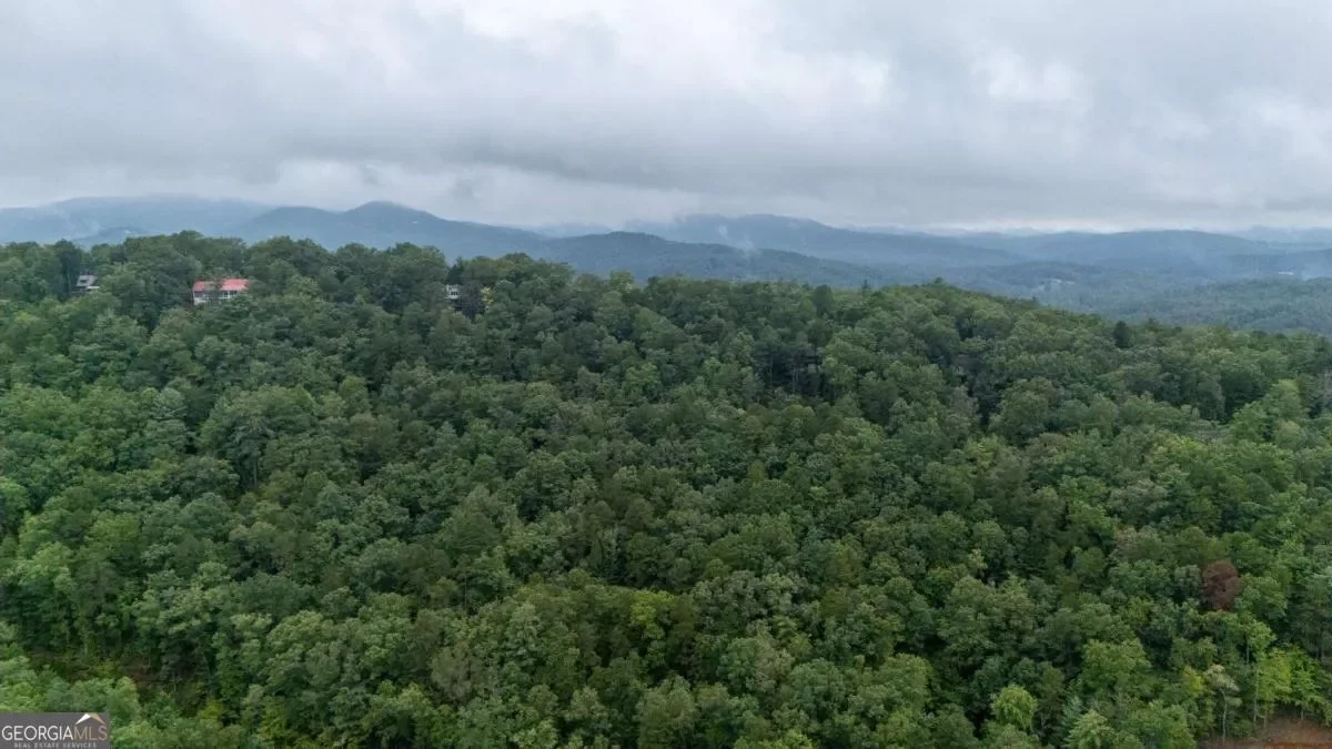 11094 Old 441 S, Lakemont, Georgia, United States. - Photo 15