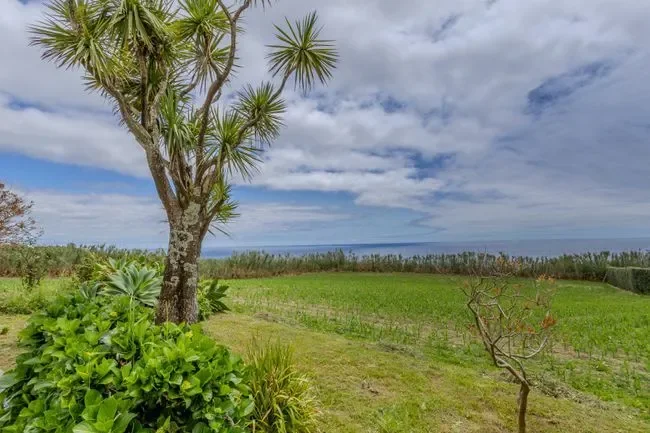 R. dos Cabrais 50, 9555 Candelária, Portugal, Candelaria, Azores, Portugal. - Photo 4