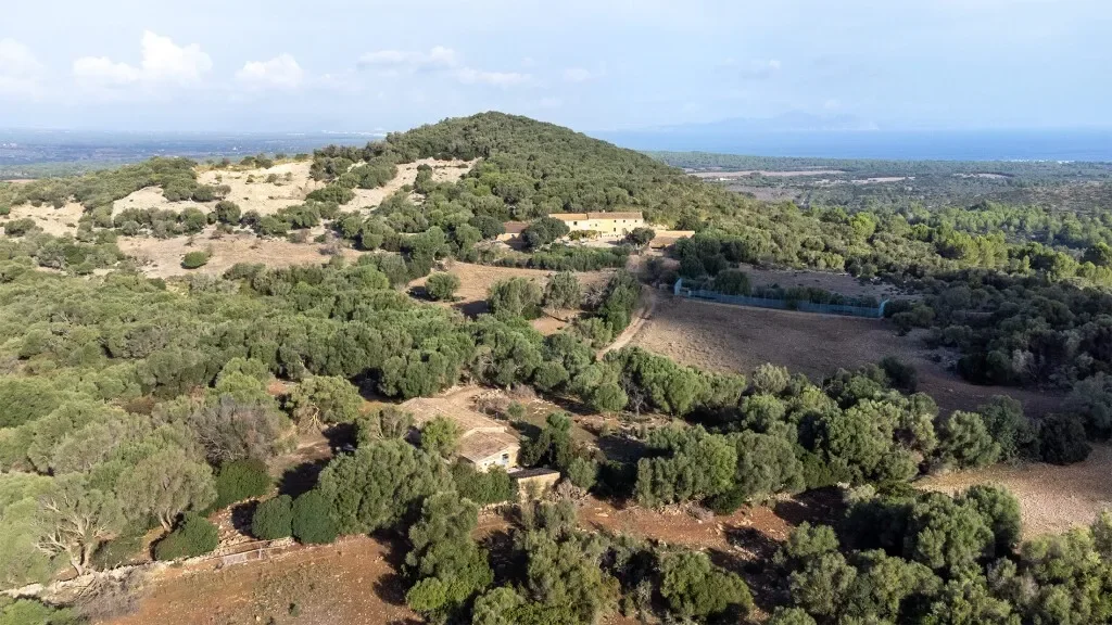 Baleares, Arta, Balearic Islands, Spain. - Photo 4