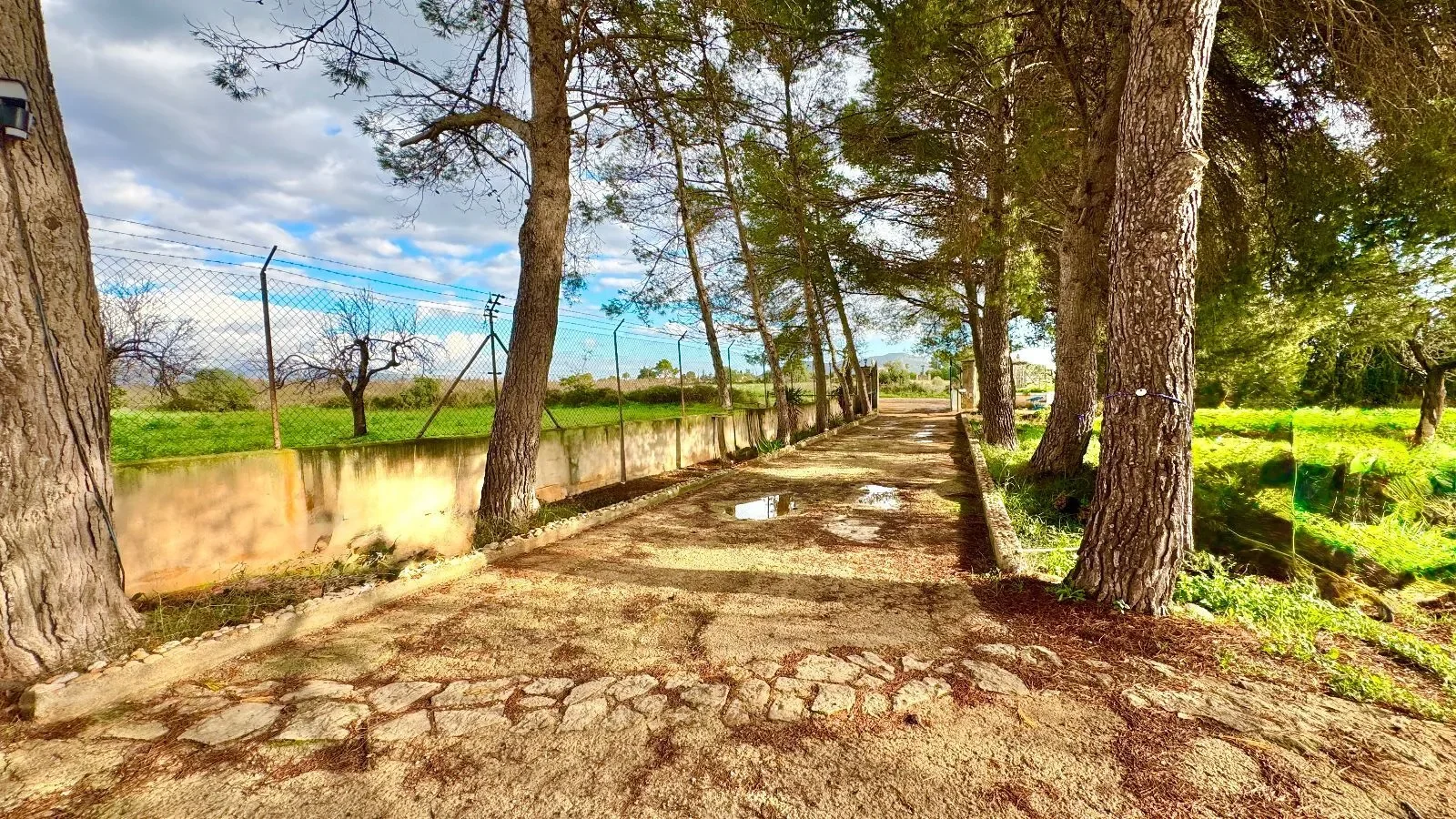 Inca, Baleares, Inca, Inca, Balearic Islands, Spain. - Photo 12