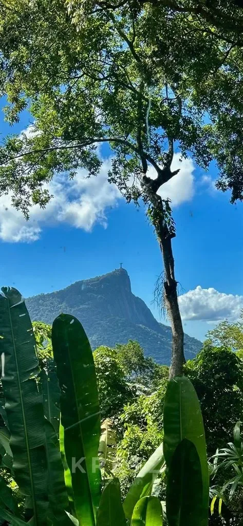 100, Rio de Janeiro, State of Rio de Janeiro, Brazil. - Photo 5