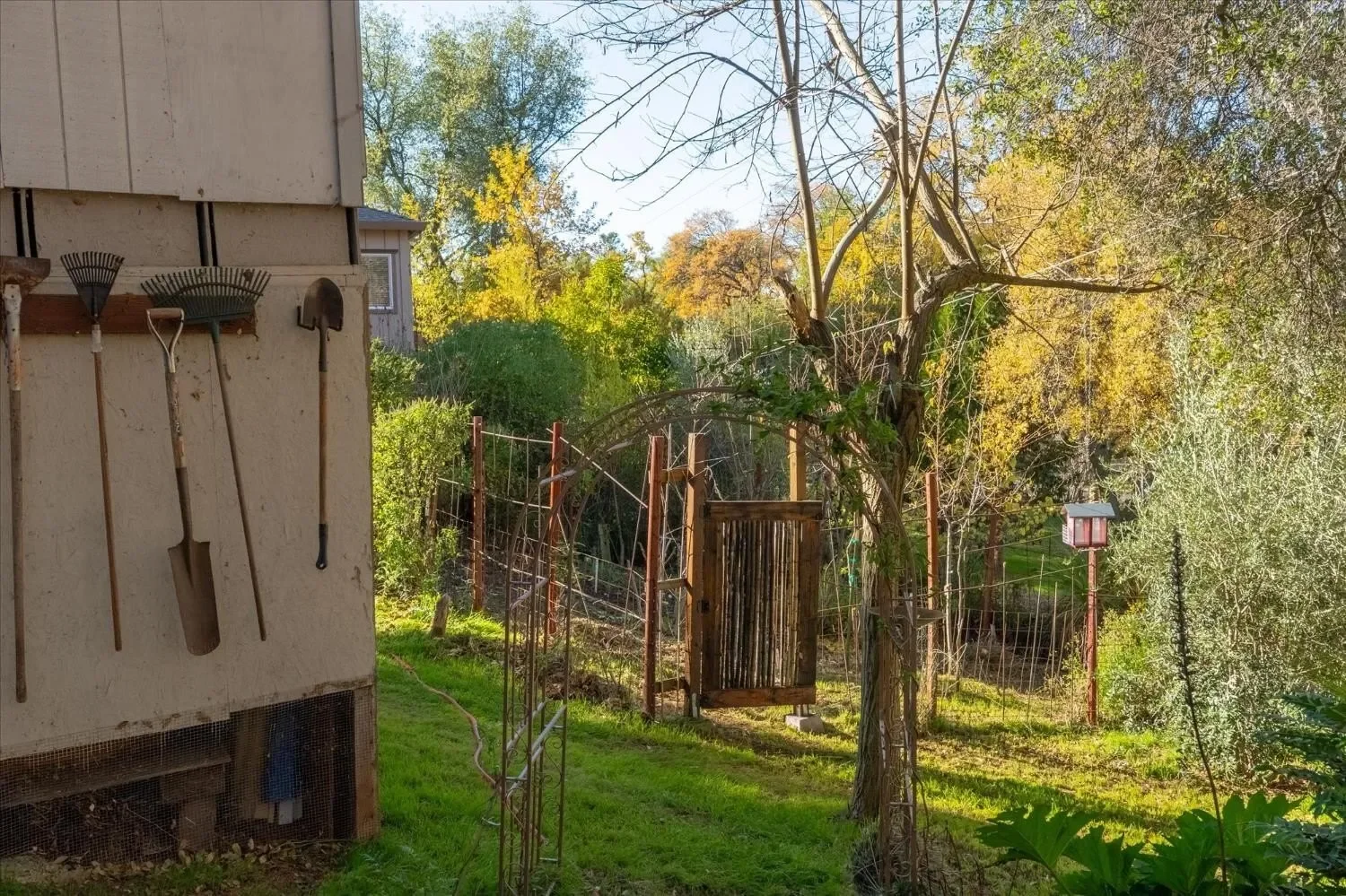 Property photo 11