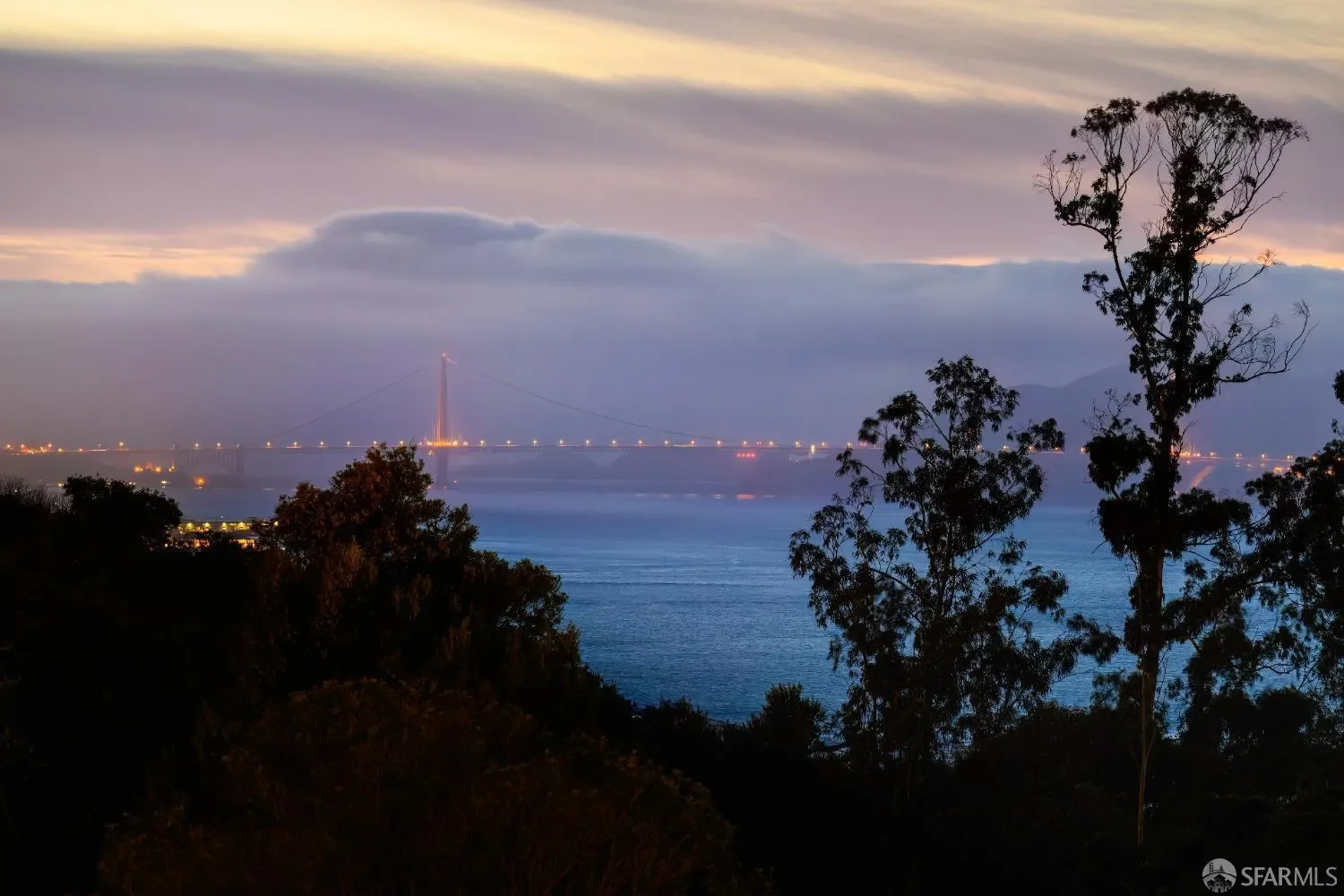 1 Bristol Court 521, San Francisco, California, United States. - Photo 4