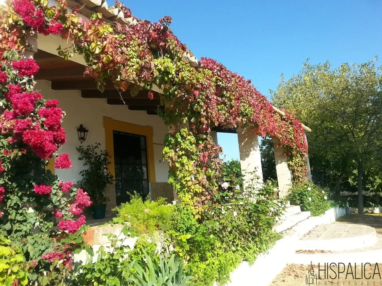 Exterior photo 10