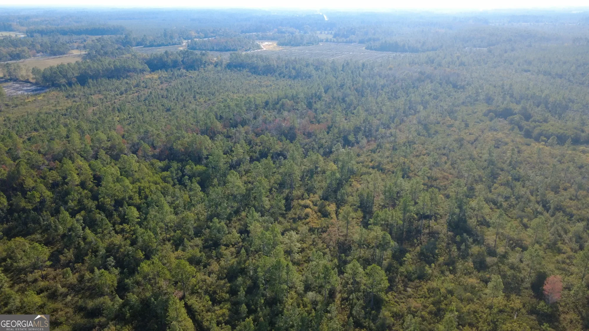 0 Fargo Highway, Homerville, GA 31634, Homerville, Georgia, United States. - Photo 8