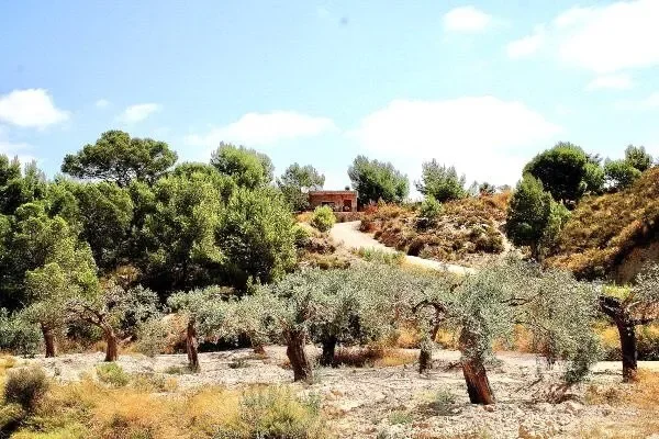 Murcia, Murcia, Murcia, La Tercia, Gea y Truyols, Murcia. - Photo 17