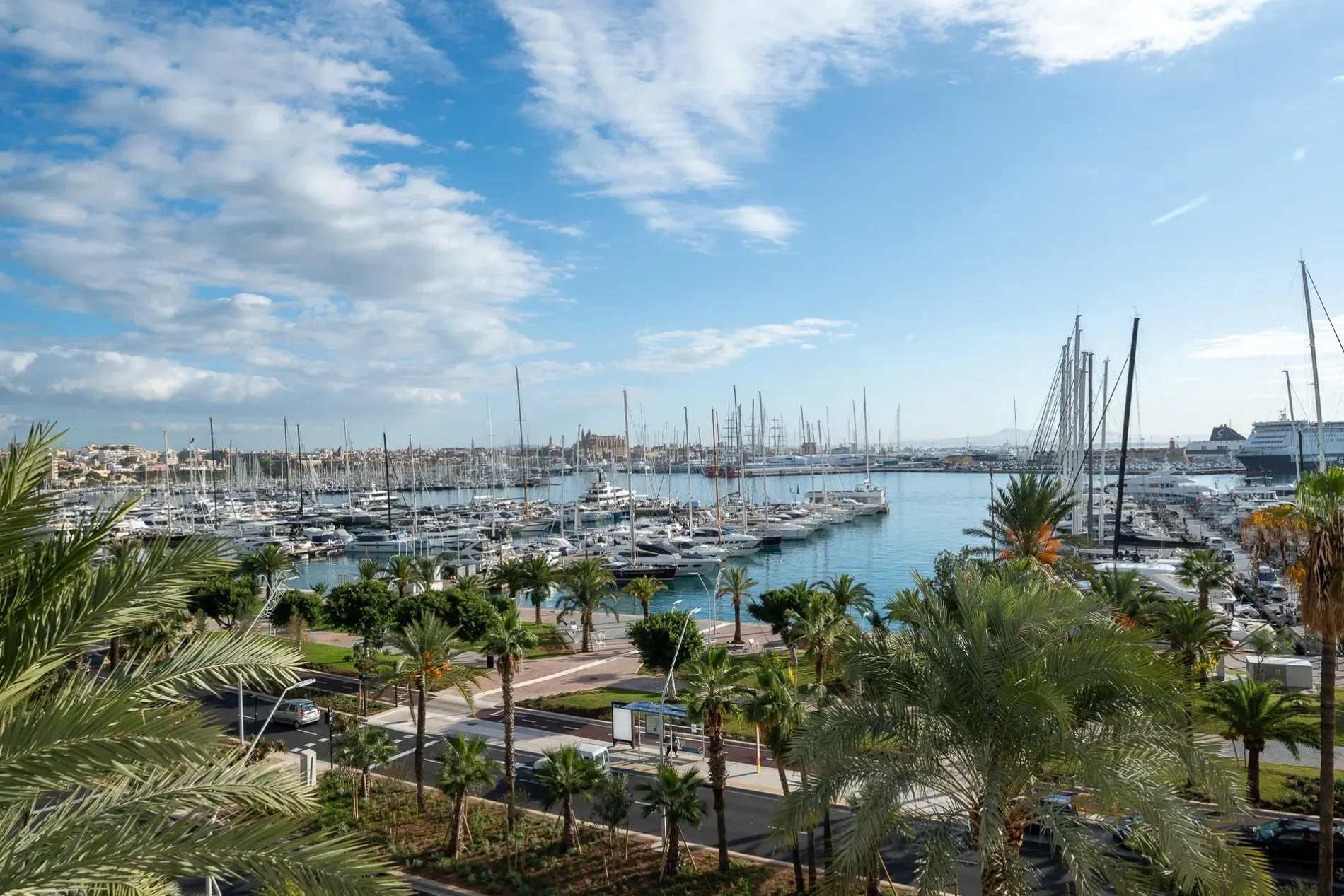 El Terreno, Palma de Mallorca, BALEARES, Palma de Mallorca, Palma, Balearic Islands, Spain. - Photo 24
