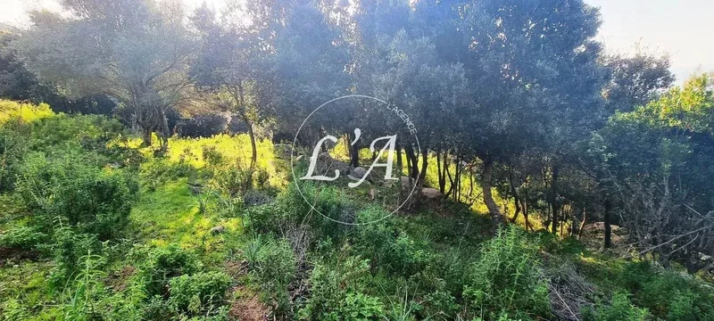 Coti-Chiavari, Corsica, France. - Photo 23
