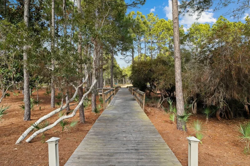 Santa Rosa Beach, Florida, United States. - Photo 36