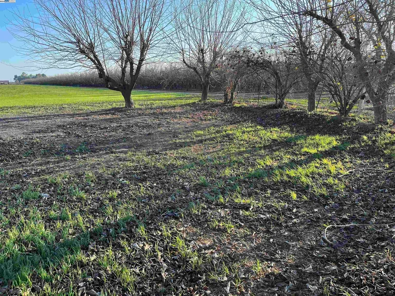 1290 Orange Ave, Patterson, California, United States. - Photo 21