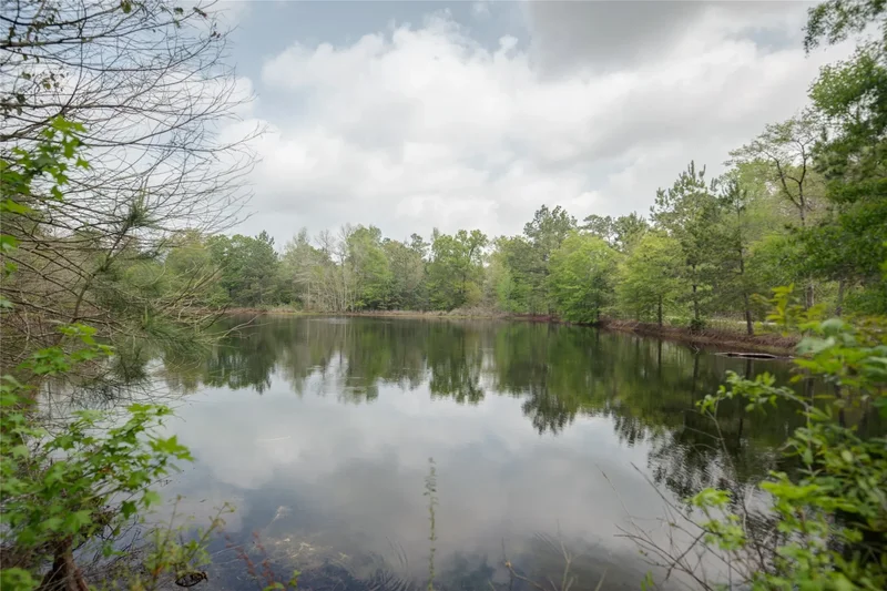 TBD Firetower Road, New Caney, TX 77357, New Caney, Texas, United States. - Photo 8