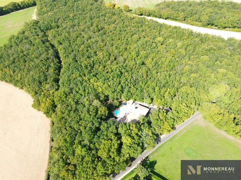 Lonnes, Nouvelle-Aquitaine, France. - Photo 6