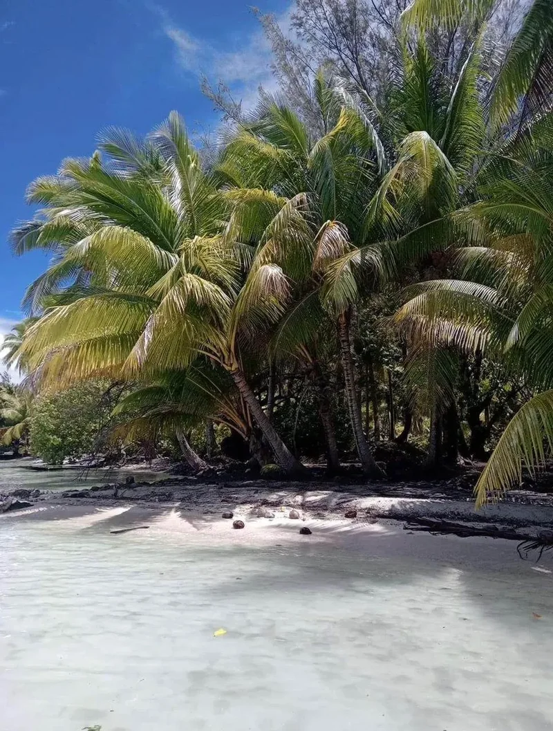 Bora Bora, Bora Bora, Bora Bora, Leeward Islands, French Polynesia. - Photo 2