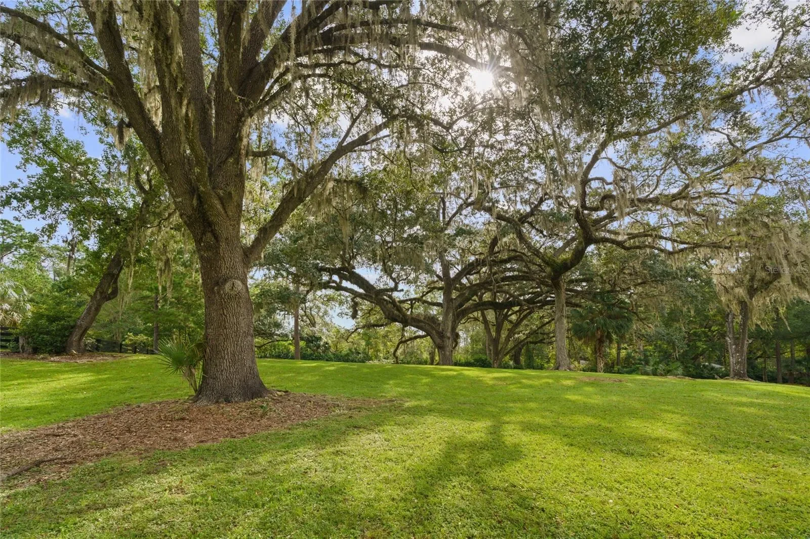 2380 SE 73RD LOOP, Ocala, Florida, United States. - Photo 47