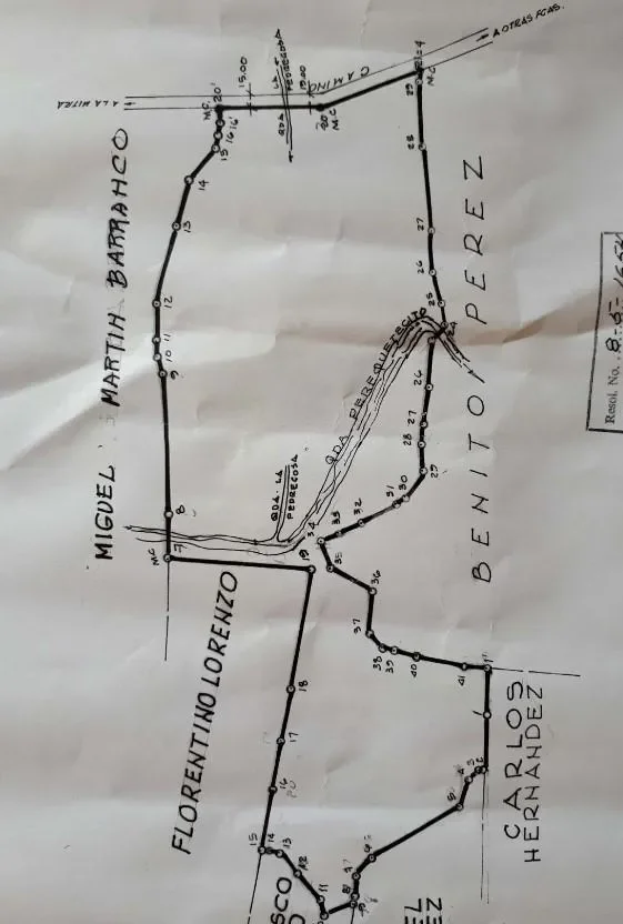 Gallery photo 4