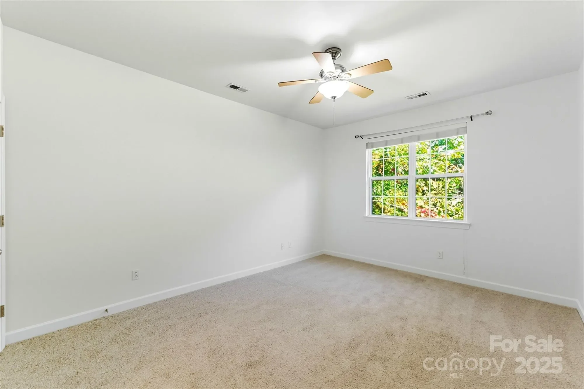 Gallery photo 11